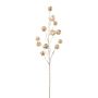 Konstgjord gren med Physalis FRILTE och frukter, metallic-champagne, 90cm