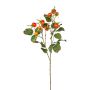 Konstgjord potatisroskvist DROVLE med nypon, orange, 60cm