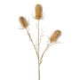 Konstgjord blomstergren vildkard BLOVEN, glitter, guld, 60cm
