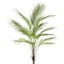 Konstväxt Areca-palm WUBRI på stödpinne, luftrötter, 95cm