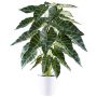 Konstgjord Alocasia Sanderiana PIVLA, melamin-överkruka, grön, 70cm
