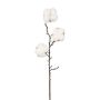 Dekorativ kvist bomull SKLAVAN med frukter, vit, 45cm, Ø5cm