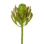 Konstgjord blomma silverträd GROVEN, grön, 50cm