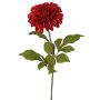 Sammetdahlia TINFAS, mörkröda, 60cm, Ø13cm