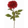 Sammetdahlia TINFAS, mörkröda, 60cm, Ø13cm