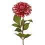 Sammetdahlia TINFAS, mauvea, 60cm, Ø13cm