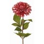 Sammetdahlia TINFAS, mauvea, 60cm, Ø13cm