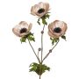 Sammet anemonkvist WINFAS, blekrosa, 75cm, Ø9-11cm