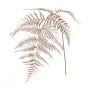 Konstgjord svärdfarn-gren NALFHY, metallic-ljusrosa, 80cm