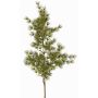 Konstgjord Asparagus umbellatus-gren DIKERNO, grön, 75cm