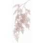 Dekorativ kvist Asparagus plumosus MELFHY, hängande, metallic-ljusrosa, 130cm