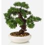 Konstgjord bonsai Ficus MIRSANDA i bonsaiskål, 35cm