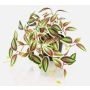 Konstväxt Tradescantia zebrina DIHALLO i dekorativ kruka, grön-röd, 19cm