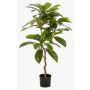Konstgjord frangipani-träd MORSHA, konstgjord stam, grön, 110cm