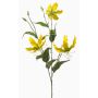 Dekorativ kvist Gloriosa TROFEL, gulgrön, 90cm