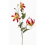 Dekorativ kvist Gloriosa TROFEL, cerise-gul, 90cm