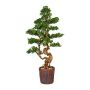 Dekorationsträd, bonsai-lärk WOME i magnesiakruka, 125cm