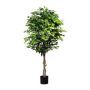 Konstgjord träd Ficus Benjamini ARNOMO, naturliga stammar, 180cm
