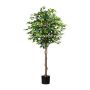 Dekorationsträd Ficus Benjamini ONIN, naturstammar, 180cm