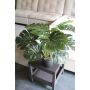 Konstväxt Philodendron monstera deliciosa CUNKYN i dekorativ kruka, 55cm