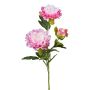 Konstgjord blomkvist, pion SLORMEK, rosa-vit, 65cm