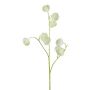 Konstgjord gren, klematis VITRAL, torkad look, grön-kräm, 55cm, Ø4cm