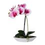 Konstgjord Phalaenopsis-orkidé ORWAN, dekorativ skål, rötter, vit-lila, 30cm