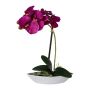 Konstgjord Phalaenopsis-orkidé ORWAN, dekorativ skål, rötter, lila, 30cm