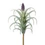 Konstgjord suckulent Tillandsia stricta KROST, stödpinne, blomma, grön-lila, 23cm