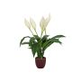 Konstgjord blomma, spathiphyllum AYASHA med blommor, keramikkruka, vit, 60cm