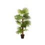 Konstgjord palm Livistona rotundifolia GHADA, 130cm