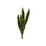 Sansevieria trifasciata CADENCE av plastskum, grön-gul, 60cm