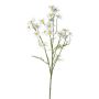 Dekorativ kvist kamomill WISOP, vit, 75cm, Ø3,5-5cm