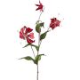 Dekorativ kvist Gloriosa LISUPY, rubinröd-guld, 80cm