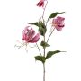 Dekorativ kvist Gloriosa LISUPY, mörkrosa-guld, 80cm