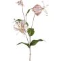 Dekorativ kvist Gloriosa LISUPY, beige-guld, 80cm