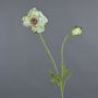 Dekorationsblomma vallmo MESOP, vitgrön, 65cm, Ø9cm