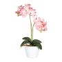 Dekorativ blomma Phalaenopsis-orkidé FRUXO, keramikkruka, rötter, rosa, 50cm