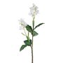 Konstgjord gren indiskt blomrör DRAMTEL, vit, 145cm