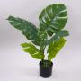 Konstväxt Philodendron monstera deliciosa CUNKYN i dekorativ kruka, 60cm