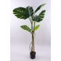 Konstväxt Philodendron monstera deliciosa CUNKYN i dekorativ kruka, 170cm