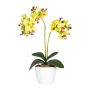 Dekorativ blomma, Phalaenopsis-orkidé FRUXO, keramikkruka, rötter, grön, 50cm