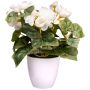 Konstgjord blomma Begonia SYLINA, vit dekorativ kruka, krämfärgad, 25cm