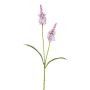 Konstgjord salvia-gren LOHFER, rosa, 65cm
