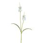 Konstgjord salvia-kvist LOHFER, vit, 65cm