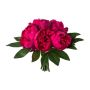 Konstgjord blomsterbukett med pioner SIRKO, cerise, 30cm