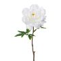 Konstblomma, pion GLOUT, vit, 65cm