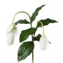 Dekorativ kvist medinilla TRUHAN, vit, 80cm