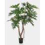Konstväxt Philodendron Selloum ORANDA, rötter, 140cm
