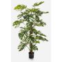 Konstväxt Philodendron Monstera Deliciosa Variegata MEBSUTA, grön-vit, 160cm